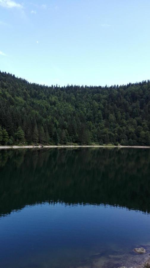 La Bressaude - Vacances-En-Vosges - Menage Compris Ла-Бресс Экстерьер фото