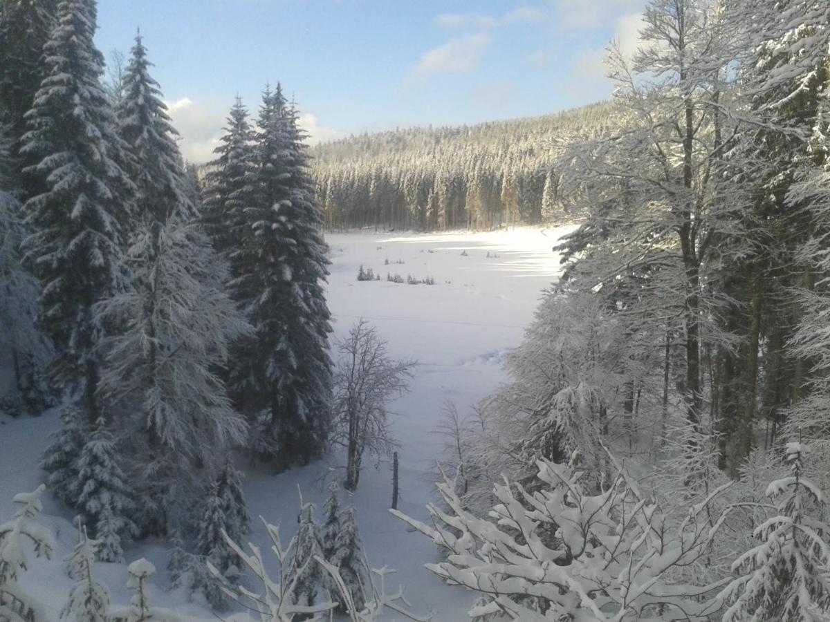 La Bressaude - Vacances-En-Vosges - Menage Compris Ла-Бресс Экстерьер фото