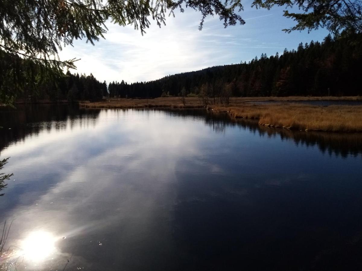 La Bressaude - Vacances-En-Vosges - Menage Compris Ла-Бресс Экстерьер фото
