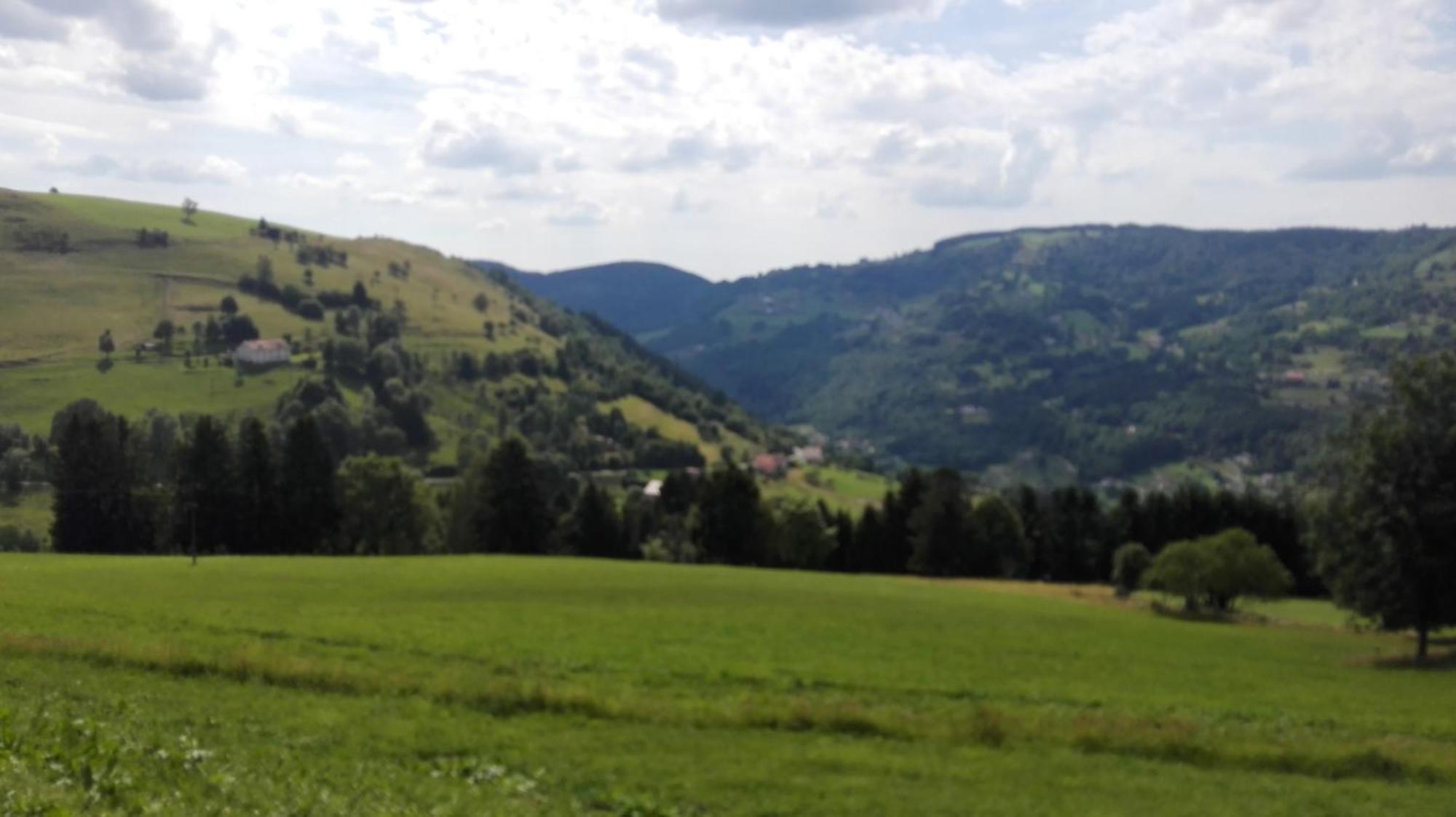 La Bressaude - Vacances-En-Vosges - Menage Compris Ла-Бресс Экстерьер фото