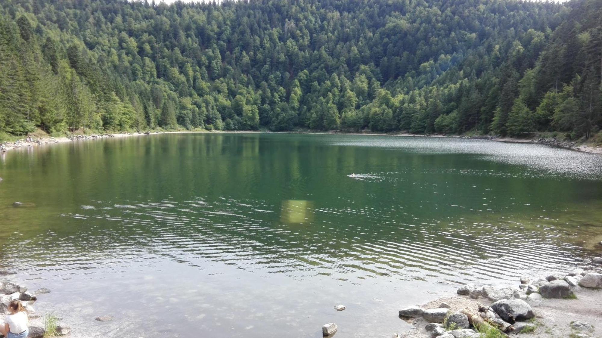 La Bressaude - Vacances-En-Vosges - Menage Compris Ла-Бресс Экстерьер фото