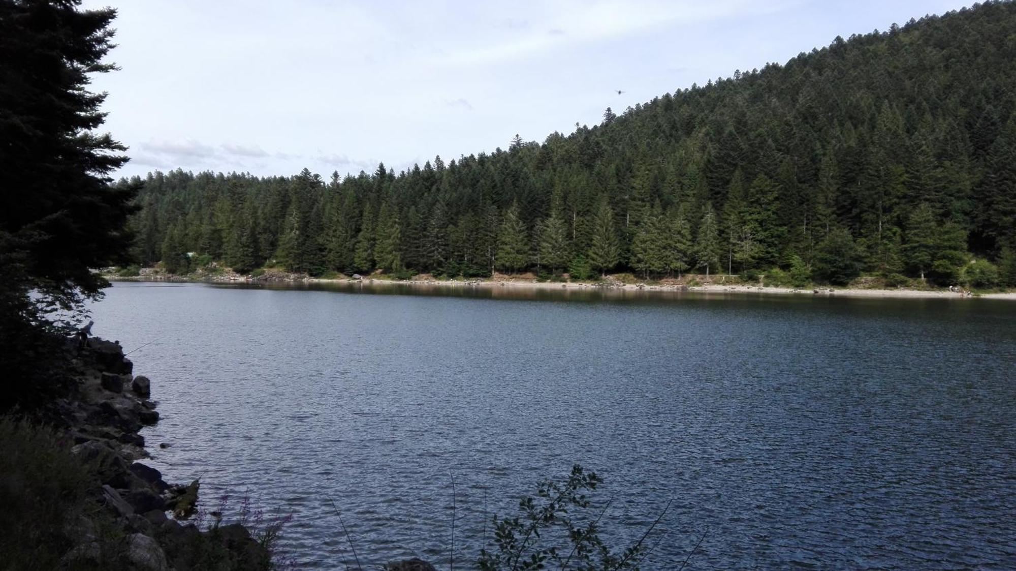 La Bressaude - Vacances-En-Vosges - Menage Compris Ла-Бресс Экстерьер фото