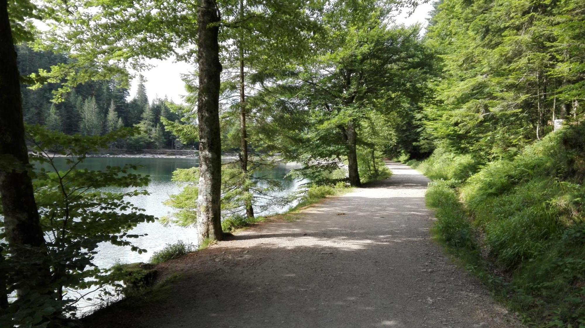 La Bressaude - Vacances-En-Vosges - Menage Compris Ла-Бресс Экстерьер фото