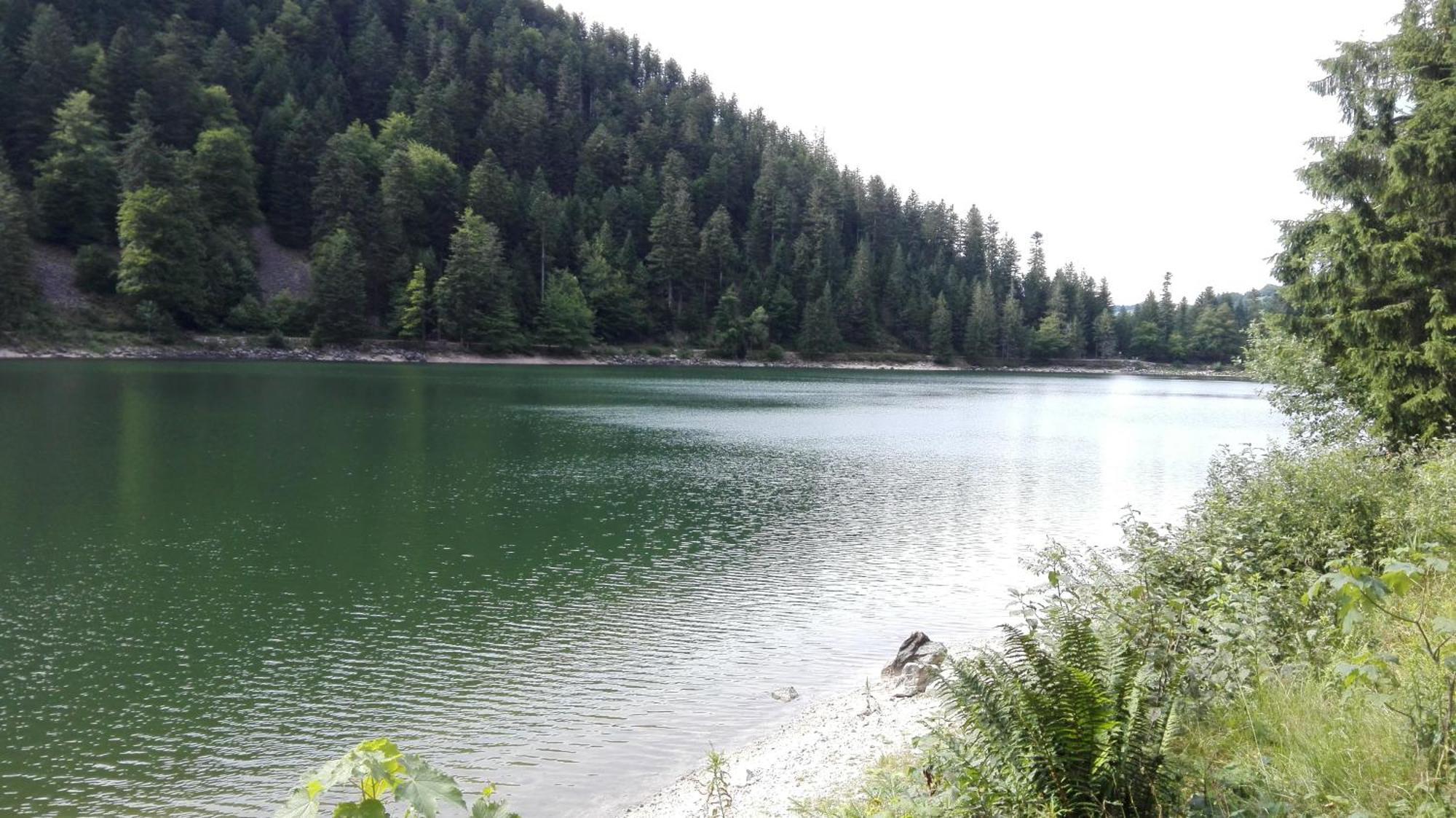 La Bressaude - Vacances-En-Vosges - Menage Compris Ла-Бресс Экстерьер фото