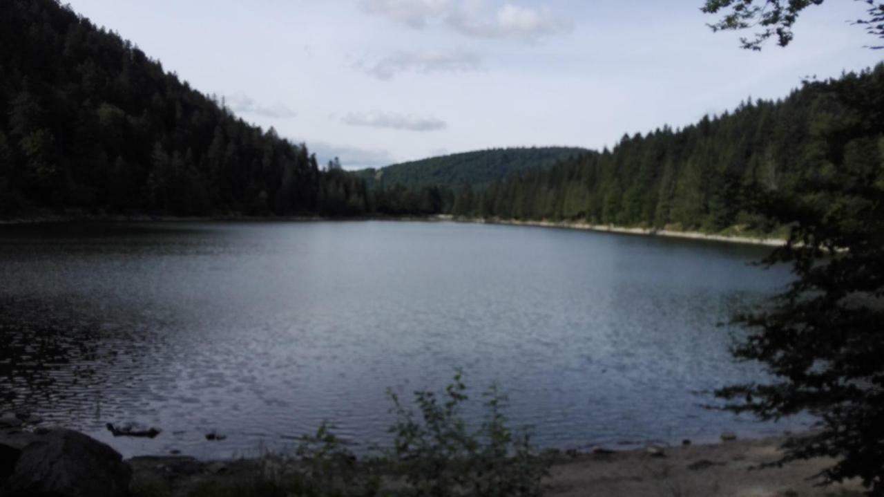 La Bressaude - Vacances-En-Vosges - Menage Compris Ла-Бресс Экстерьер фото